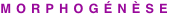 shapeimage_11_link_0